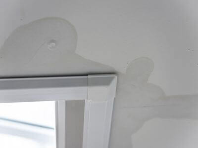 About Cupertino Mold Specialist - mold removal experts in Cupertino, CA